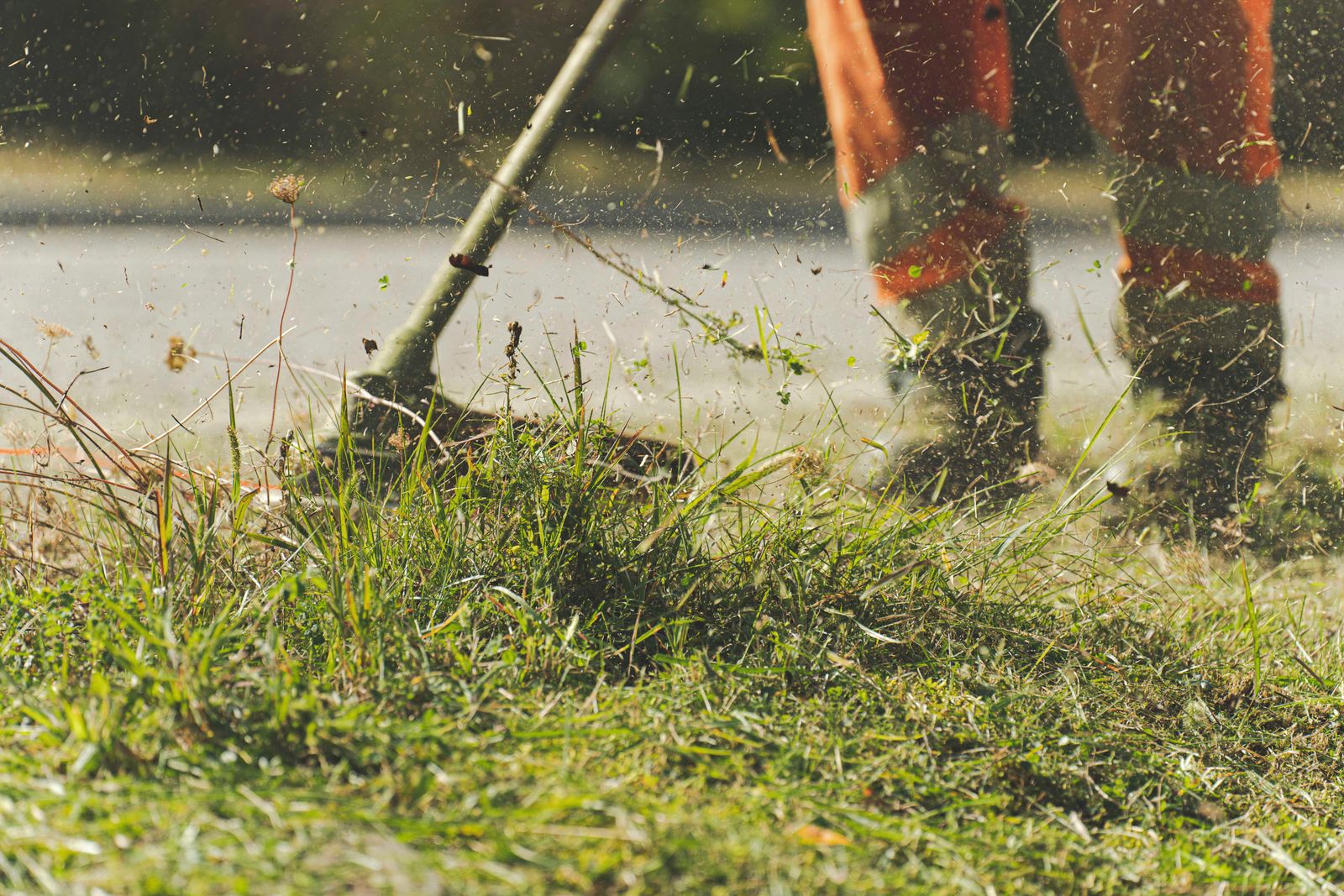 Hands-on maintenance of a real garden lawn
